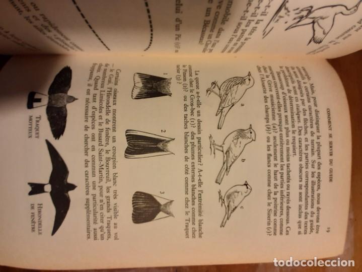 Libros de segunda mano: Guide des oiseaux dEurope - Foto 13