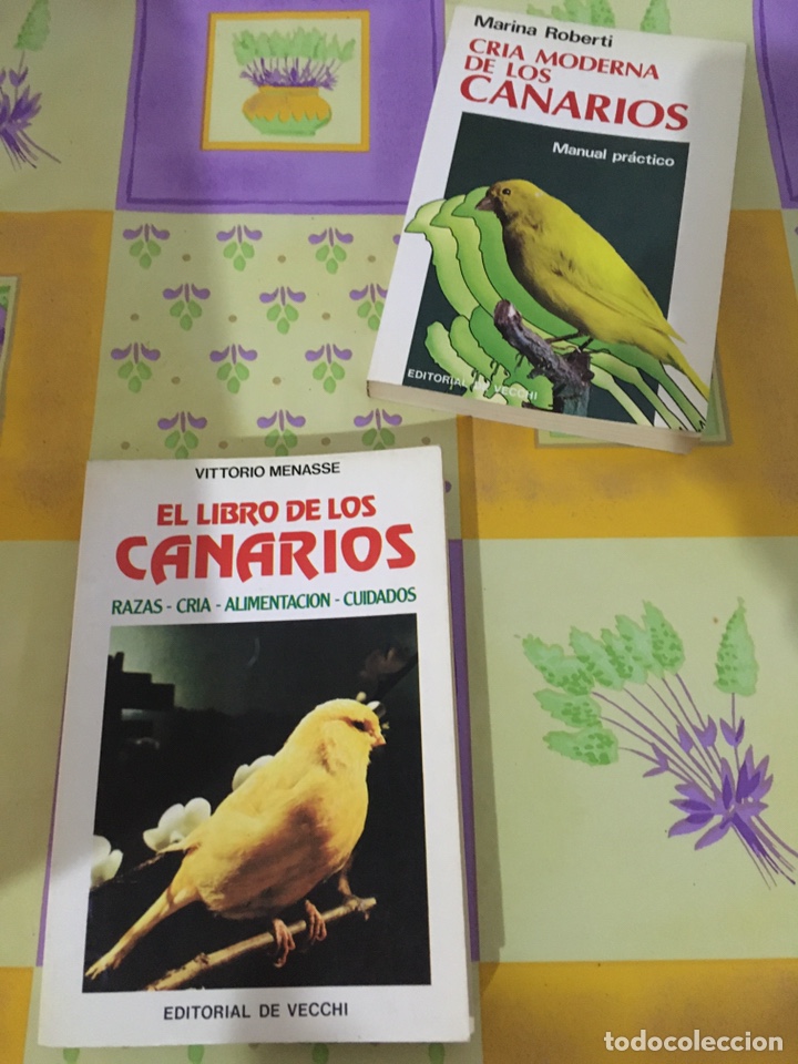 libros sobre cria y cuidado de canarios (pájaro - Compra venta en  todocoleccion