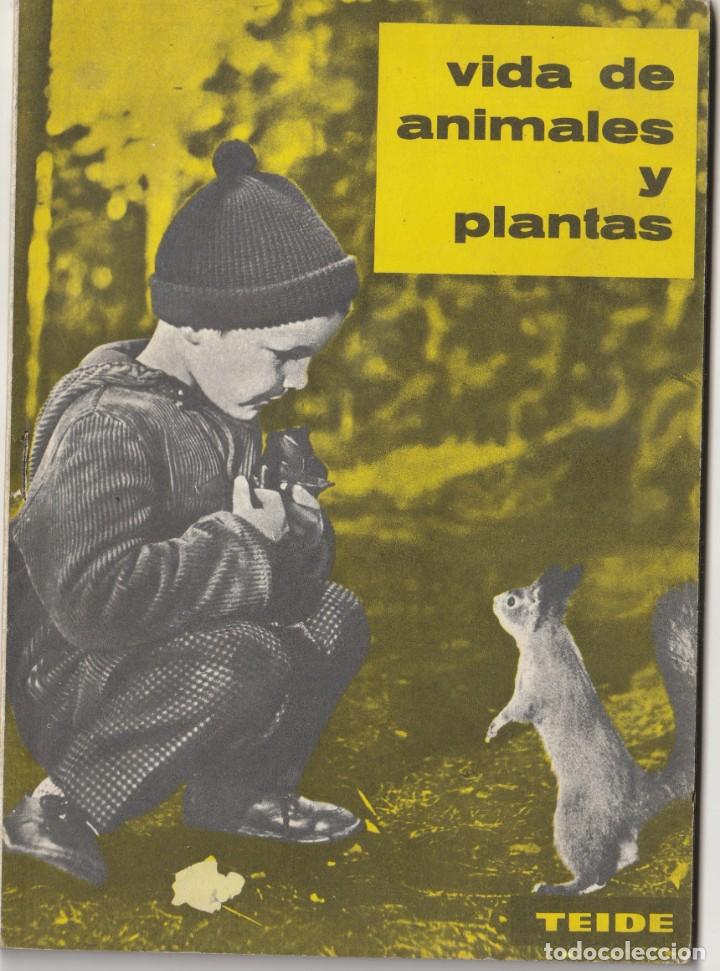 Libros de segunda mano: VIDA DE ANIMALES Y PLANTAS 1963 TEIDE 1963 - Foto 1