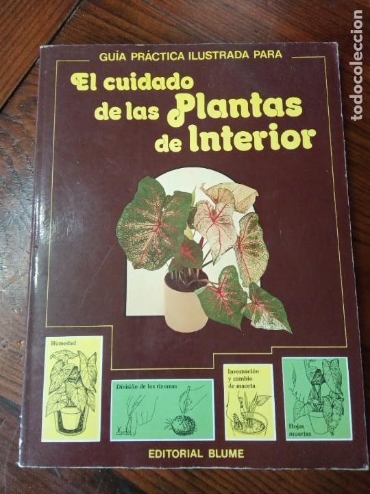 Libros de segunda mano: EL CUIDADO DE LAS PLANTAS DE INTERIOR, GUIA PRACTICA - EDITORIAL BLUME 1982. - Foto 1