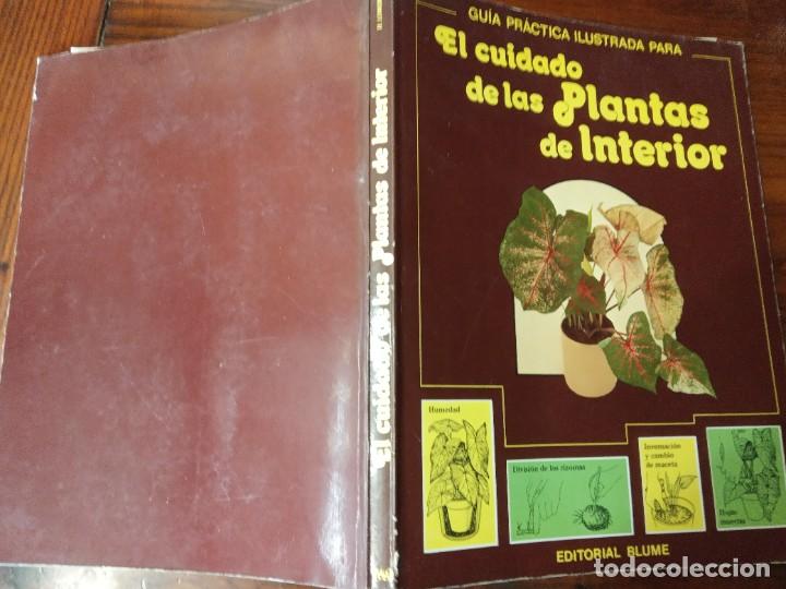 Libros de segunda mano: EL CUIDADO DE LAS PLANTAS DE INTERIOR, GUIA PRACTICA - EDITORIAL BLUME 1982. - Foto 2