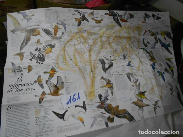 Libros de segunda mano: ESPECTACULAR POSTER LA MIGRACION DE LAS AVES - Foto 1
