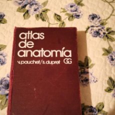 Libros de segunda mano: LIBRO ATLAS MANUAL DE ANATOMÍA 1 ENERO 1965 DE S PAUCHET, V. DUPRET (AUTOR) EDITORIAL GUSTAVO GILI,. Lote 232648040