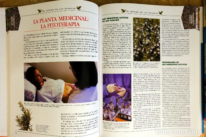 Libros de segunda mano: EL MUNDO DE LAS PLANTAS - Foto 2