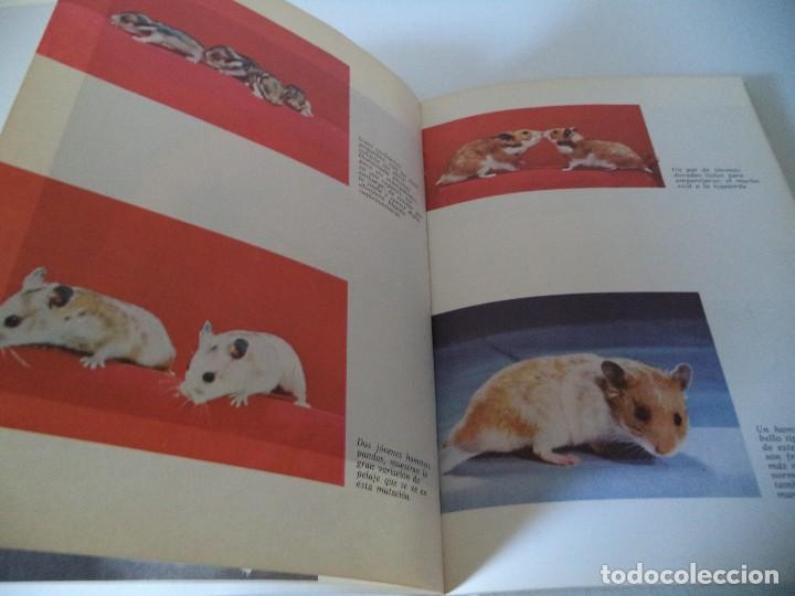 Libros de segunda mano: El Hamster.Dr.G.Edgar Folk. - Foto 4