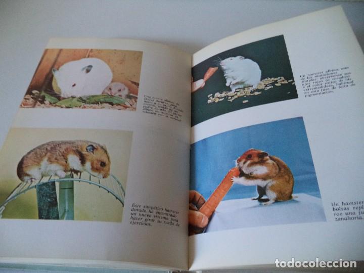 Libros de segunda mano: El Hamster.Dr.G.Edgar Folk. - Foto 5