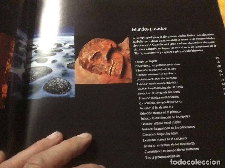 Libros de segunda mano: COENRAADS Robert R. - ROCAS Y FOSILES. Biblioteca visual - Foto 6