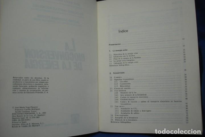 Libros de segunda mano de ciencias: LA BIOCONVERSI&Oacute;N DE LA ENERG&Iacute;A - EDICIONES PIR&Aacute;MIDE 1&ordf; EDICI&Oacute;N 1983 - Foto 2