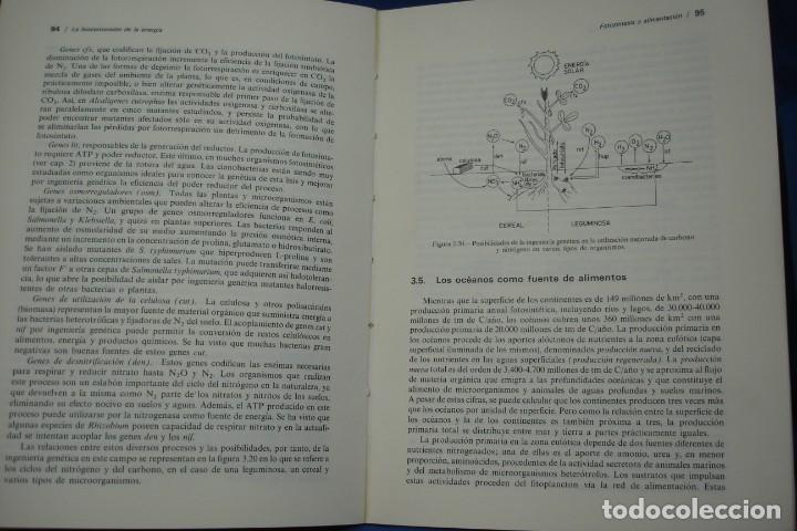 Libros de segunda mano de ciencias: LA BIOCONVERSI&Oacute;N DE LA ENERG&Iacute;A - EDICIONES PIR&Aacute;MIDE 1&ordf; EDICI&Oacute;N 1983 - Foto 3