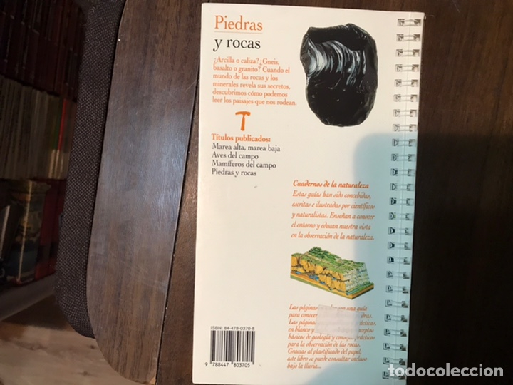 Libros de segunda mano: Piedras y rocas. Olivier Dauteuil - Foto 2