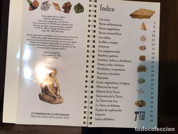 Libros de segunda mano: Piedras y rocas. Olivier Dauteuil - Foto 3