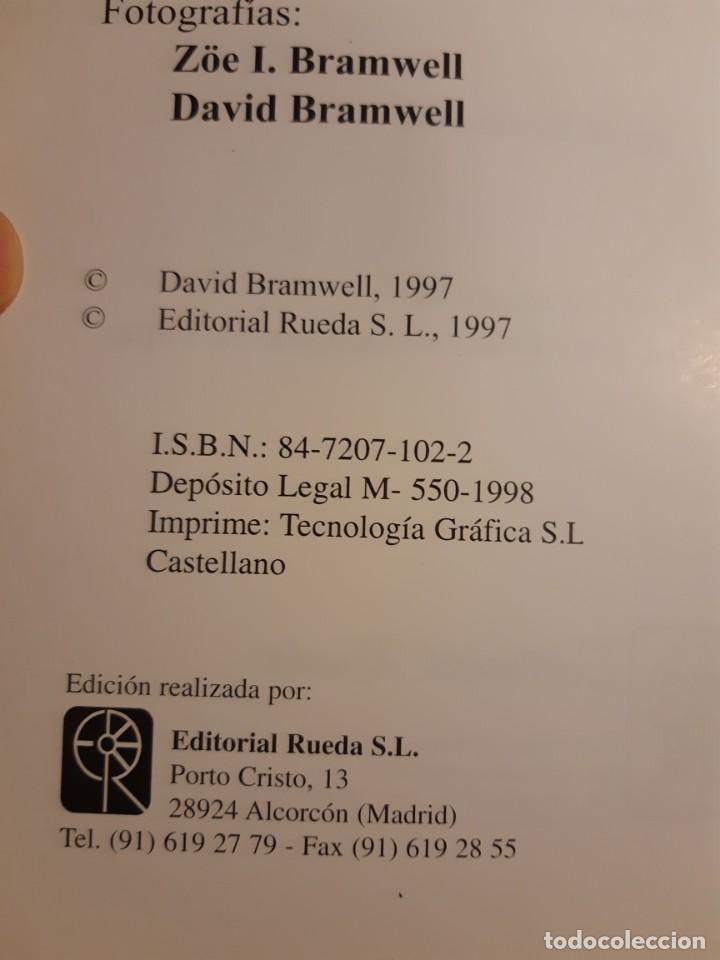 Libros de segunda mano: Flora de las islas Canarias David Branwell - Foto 5