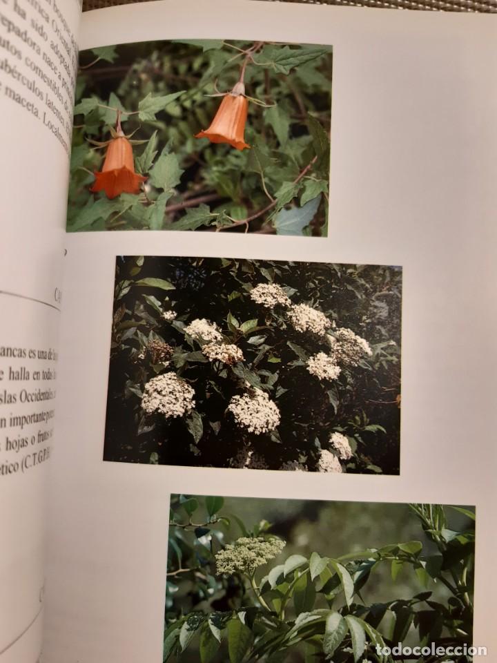Libros de segunda mano: Flora de las islas Canarias David Branwell - Foto 9