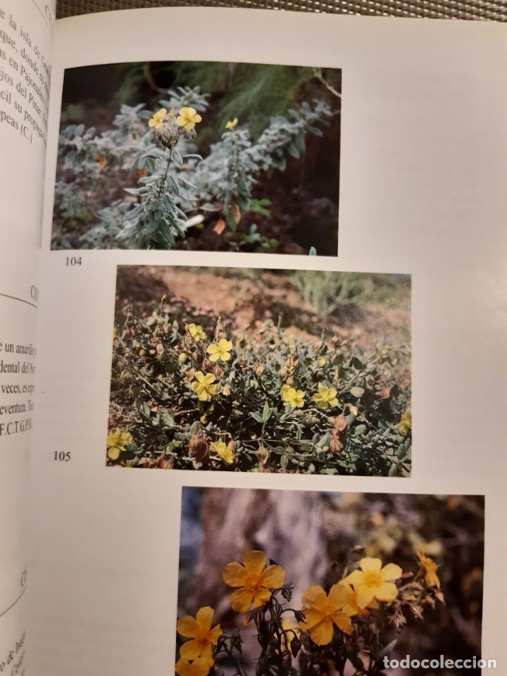 Libros de segunda mano: Flora de las islas Canarias David Branwell - Foto 10
