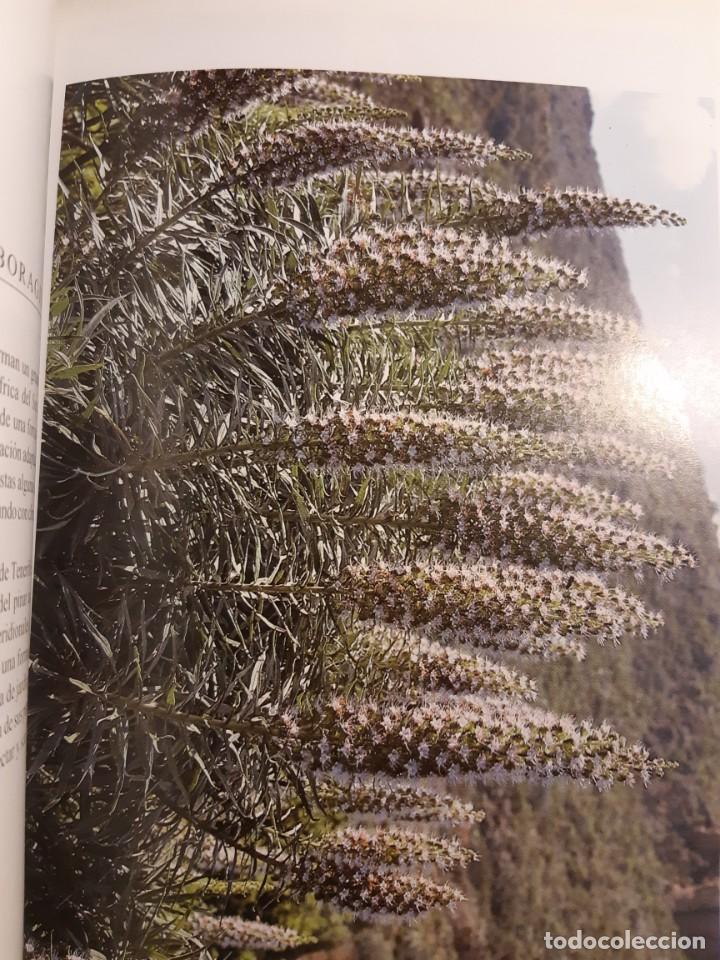Libros de segunda mano: Flora de las islas Canarias David Branwell - Foto 14