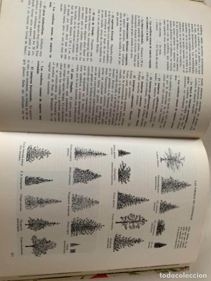 Libros de segunda mano: Gu&iacute;a pr&aacute;ctica de la jardiner&iacute;a - Foto 2