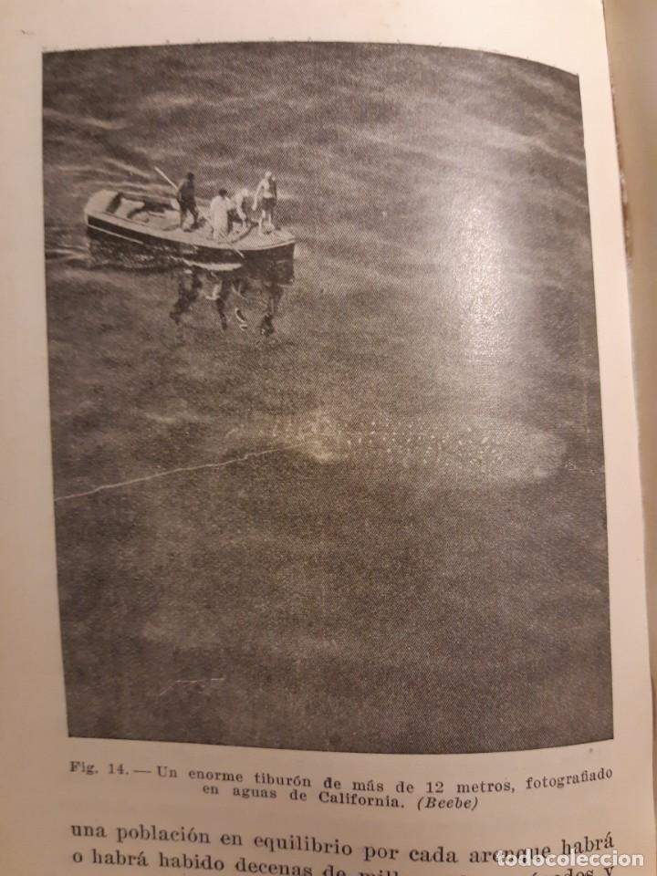 Libros de segunda mano: La vida en alta mar R. Magalef - Foto 3