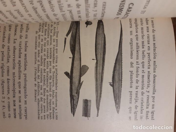 Libros de segunda mano: La vida en alta mar R. Magalef - Foto 4