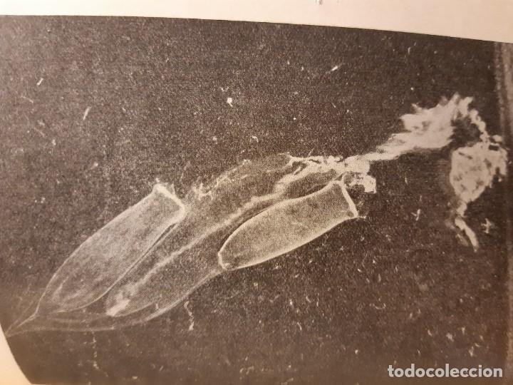 Libros de segunda mano: La vida en alta mar R. Magalef - Foto 6