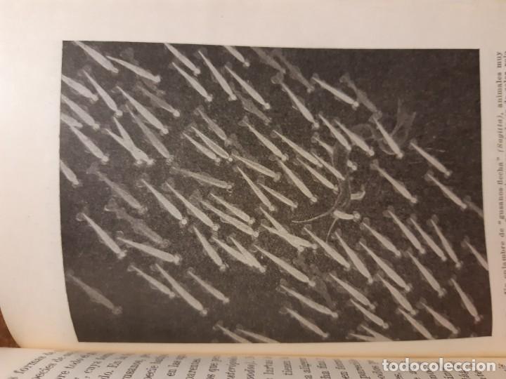 Libros de segunda mano: La vida en alta mar R. Magalef - Foto 7