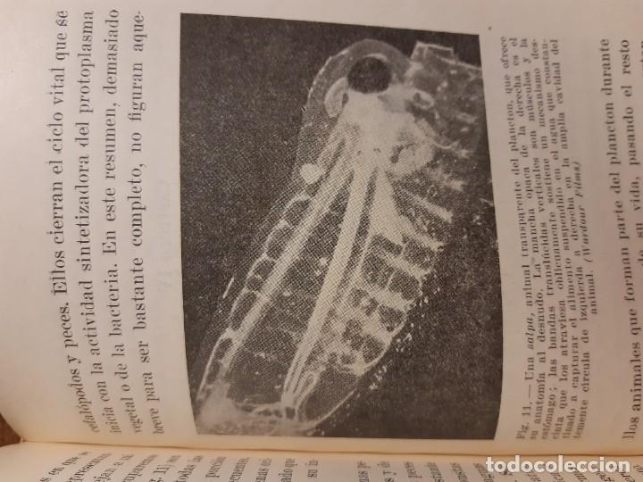 Libros de segunda mano: La vida en alta mar R. Magalef - Foto 8