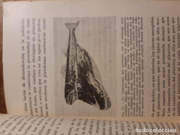 Libros de segunda mano: La vida en alta mar R. Magalef - Foto 9