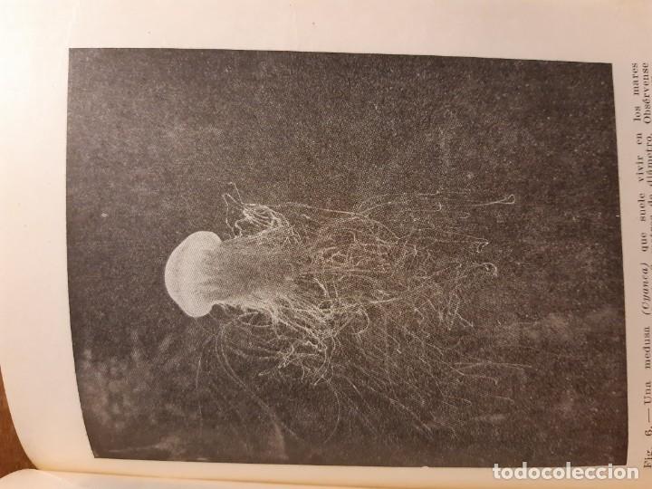 Libros de segunda mano: La vida en alta mar R. Magalef - Foto 11