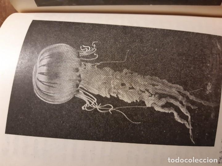 Libros de segunda mano: La vida en alta mar R. Magalef - Foto 12