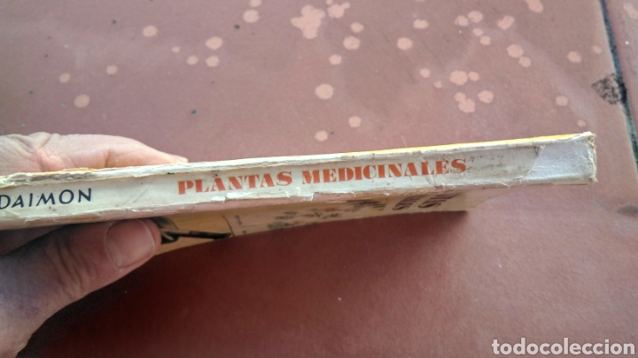 Libros de segunda mano: Plantas medicinales , daimon 1966 - Foto 2