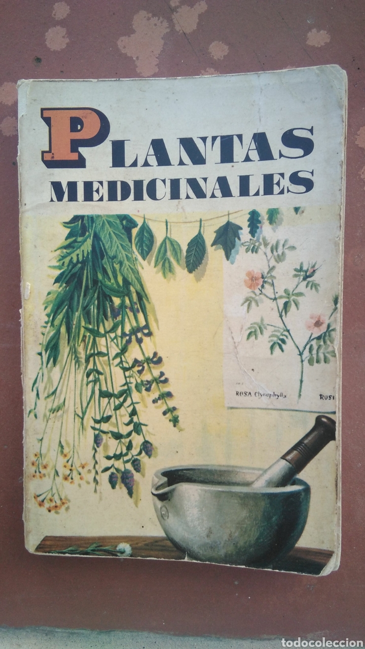 Libros de segunda mano: Plantas medicinales , daimon 1966 - Foto 1