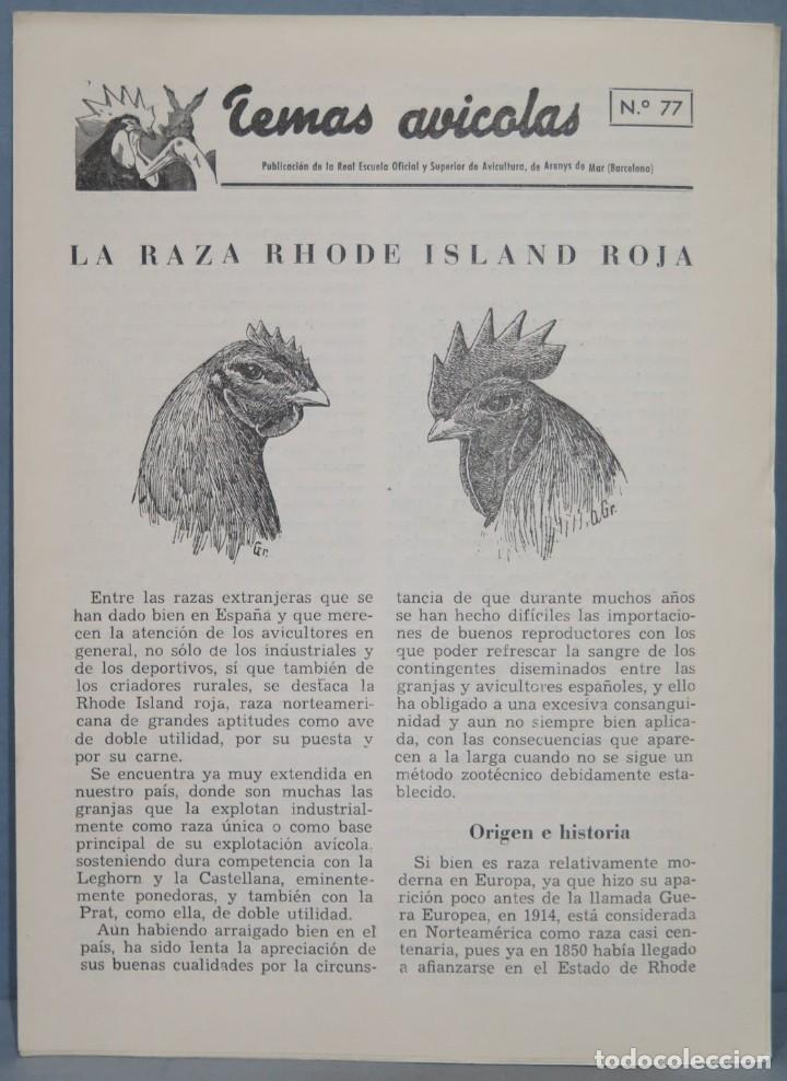 Libros de segunda mano: TEMAS AVICOLAS. ARENYS DE MAR. 77 - Foto 1