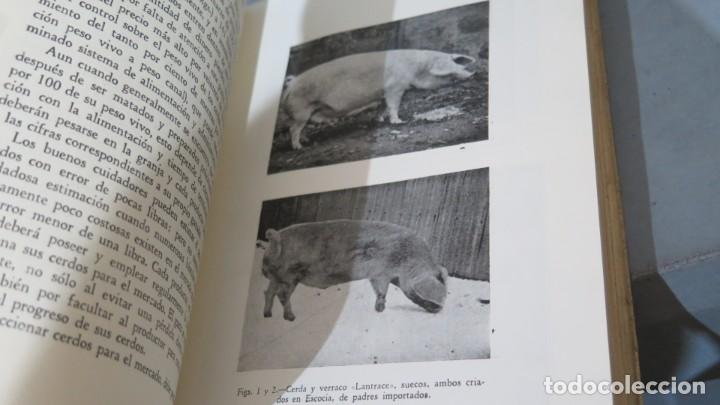 Libros de segunda mano: EL CERDO. CRIA ALIMENTACION Y ADMINISTRACION. FISHWICK - Foto 2