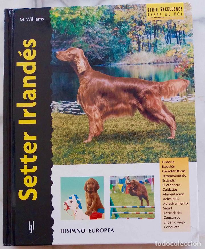 Libros de segunda mano: EL SETTER IRLAND&Eacute;S, M WILLIAMS. LIBRO EDITORIAL HISPANO EUROPEA - Foto 1