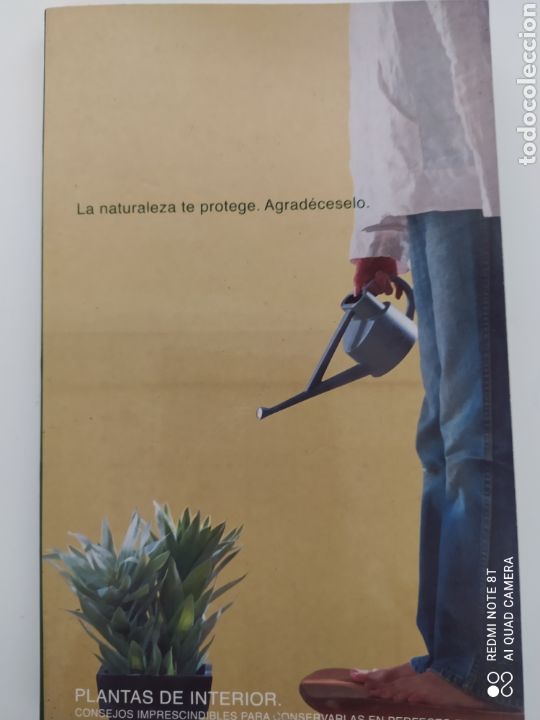 Libros de segunda mano: Plantas de interior - Foto 1