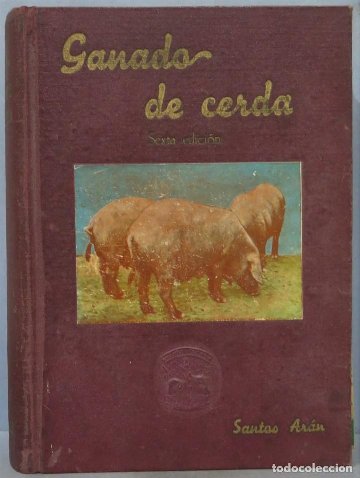 Libros de segunda mano: GANADO DE CERDA. SANTOS ARAN - Foto 1