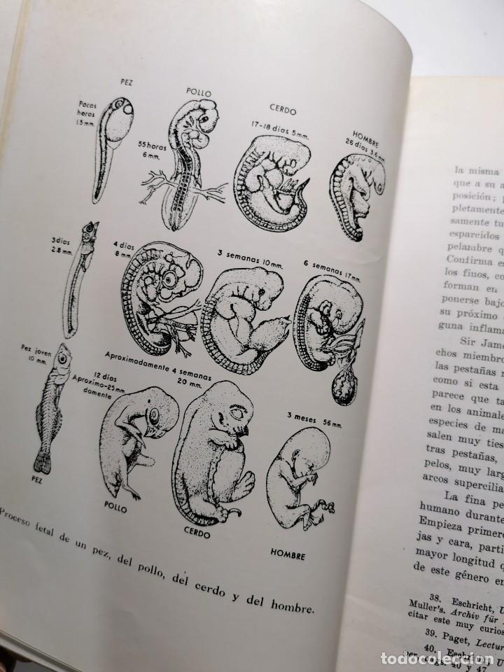 Libros de segunda mano: EL ORIGEN DEL HOMBRE (CHARLES DARWIN) - Foto 5