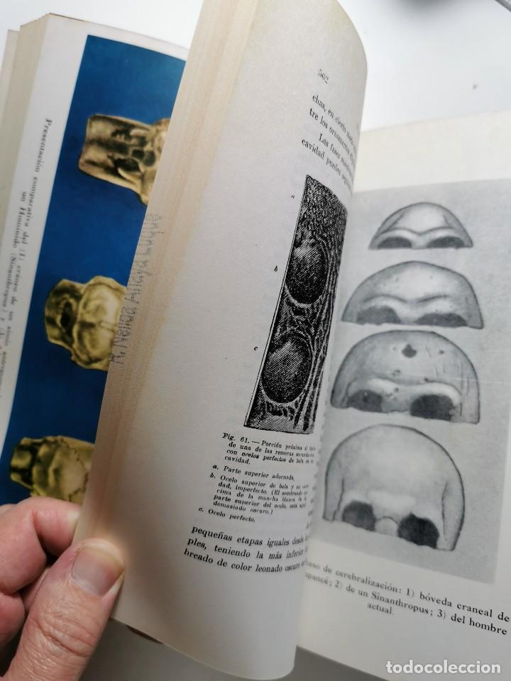 Libros de segunda mano: EL ORIGEN DEL HOMBRE (CHARLES DARWIN) - Foto 7