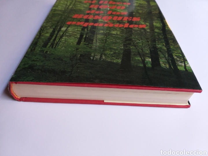 Libros de segunda mano: El Libro Rojo de los bosques espa&ntilde;oles....... ENV&Iacute;O GRATIS CERT ESPA&Ntilde;A PEN&Iacute;NSULA - Foto 2