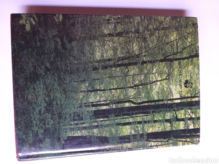 Libros de segunda mano: El Libro Rojo de los bosques espa&ntilde;oles....... ENV&Iacute;O GRATIS CERT ESPA&Ntilde;A PEN&Iacute;NSULA - Foto 5