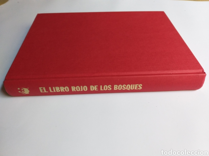 Libros de segunda mano: El Libro Rojo de los bosques espa&ntilde;oles....... ENV&Iacute;O GRATIS CERT ESPA&Ntilde;A PEN&Iacute;NSULA - Foto 7