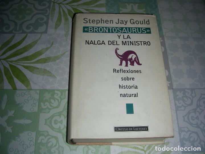 Libros de segunda mano: BRONTOSAURUS Y LA NALGA DEL MINISTRO / STEPHEN JAY GOULD - Foto 1