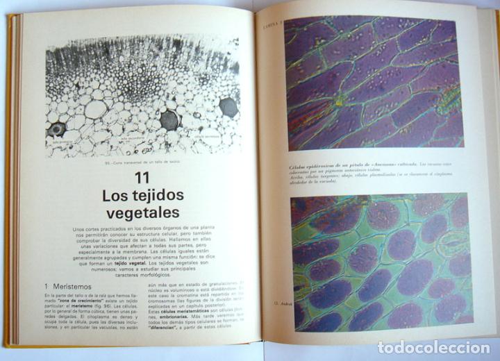 Libros de segunda mano: BOTANICA - ANDRE THERON - EDITORIAL MONTANER Y SIMON. 1977 - Foto 2