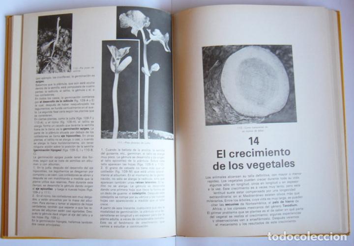 Libros de segunda mano: BOTANICA - ANDRE THERON - EDITORIAL MONTANER Y SIMON. 1977 - Foto 3
