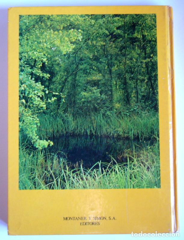 Libros de segunda mano: BOTANICA - ANDRE THERON - EDITORIAL MONTANER Y SIMON. 1977 - Foto 4