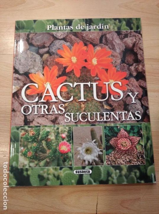 Libros de segunda mano: Cactus y otras suculentas. Susaeta - Foto 1