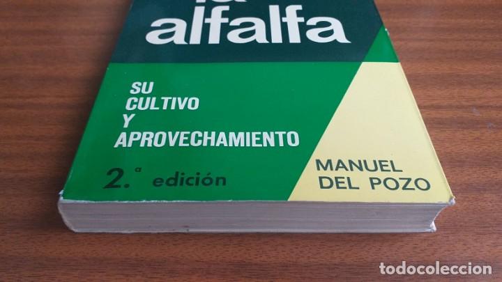 Libros de segunda mano: La alfalfa --- Manuel del Pozo - Foto 3