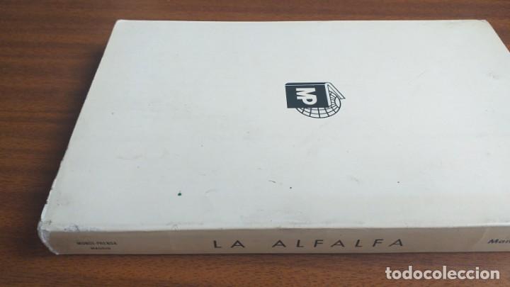 Libros de segunda mano: La alfalfa --- Manuel del Pozo - Foto 8