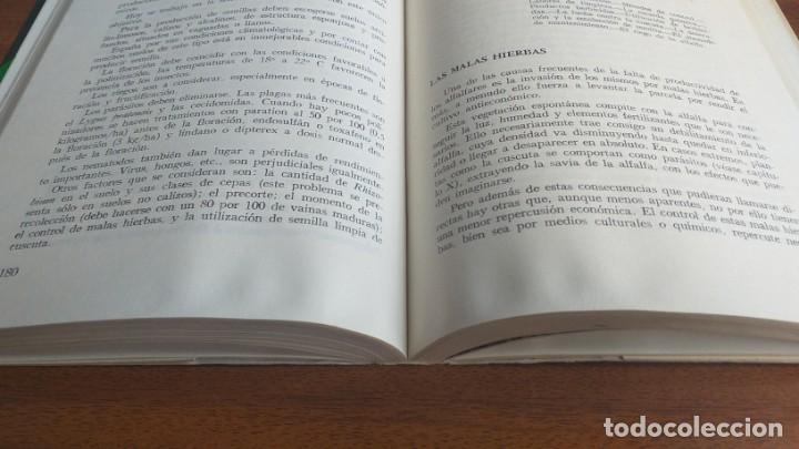 Libros de segunda mano: La alfalfa --- Manuel del Pozo - Foto 10