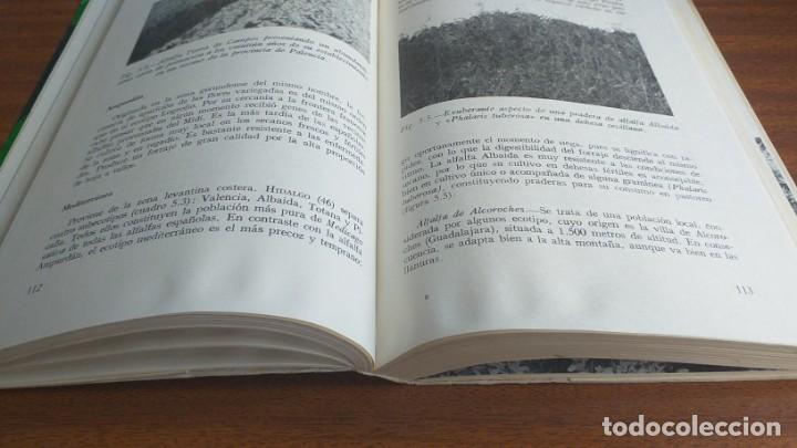 Libros de segunda mano: La alfalfa --- Manuel del Pozo - Foto 12