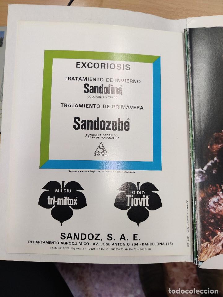 Libros de segunda mano: fitopatolog&iacute;a de la vi&ntilde;a . folletos.Ediciones sandoz. - Foto 2